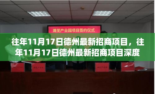 德州最新招商项目深度评测与介绍，历年11月17日招商项目概览