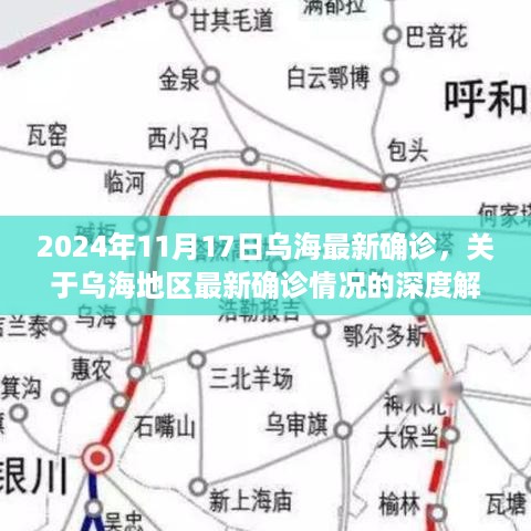 乌海地区最新确诊情况深度解析（2024年11月17日）