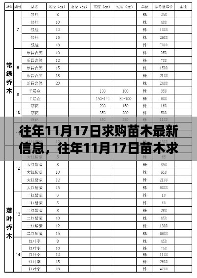 往年11月17日苗木求购信息与市场动态深度解析及最新市场动态概览