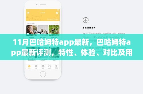 巴哈姆特app 11月最新评测，特性、体验、对比与用户群体深度分析