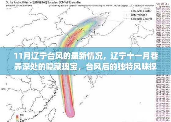 辽宁台风最新动态与巷弄深处的隐藏瑰宝探索