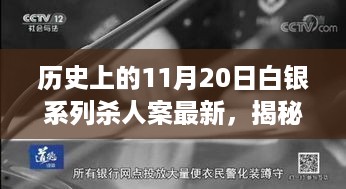 揭秘，历史上的11月20日白银系列杀人案真相与最新进展揭秘🔍😨