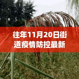 秋日秘境探索，疫情防控下的街道新措施与自然美景之旅，重拾内心宁静平和