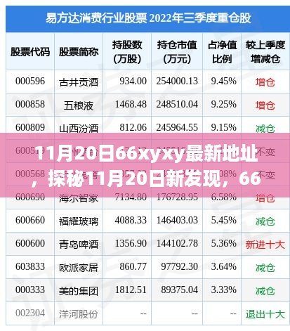 探秘11月20日最新隐藏小店之旅，揭秘66xyxy特色店铺的神秘面纱