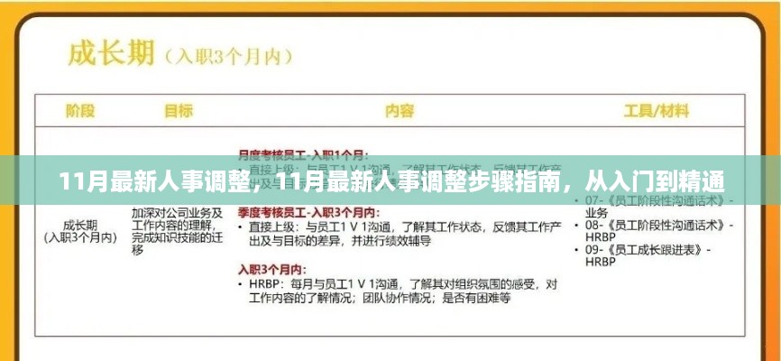 11月人事调整全攻略，步骤指南入门到精通