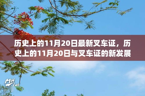 揭秘历史中的叉车证，一探十一月二十日的最新发展脉络