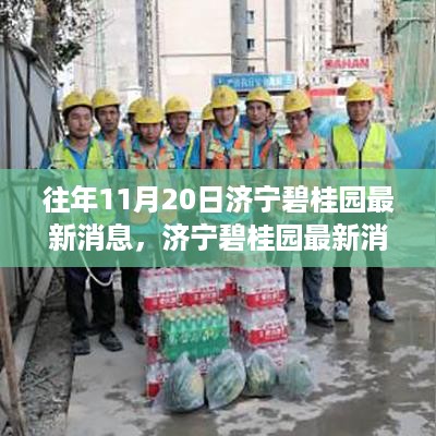 济宁碧桂园最新动态揭秘，往年11月20日消息获取攻略与动态掌握技巧