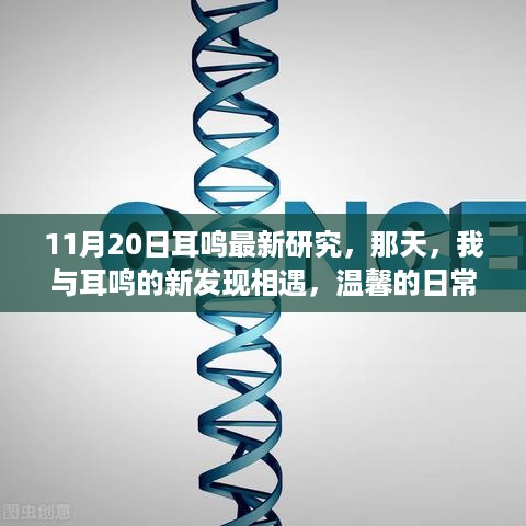 11月20日耳鸣最新研究，我与耳鸣相遇的日常故事，温馨之旅开启