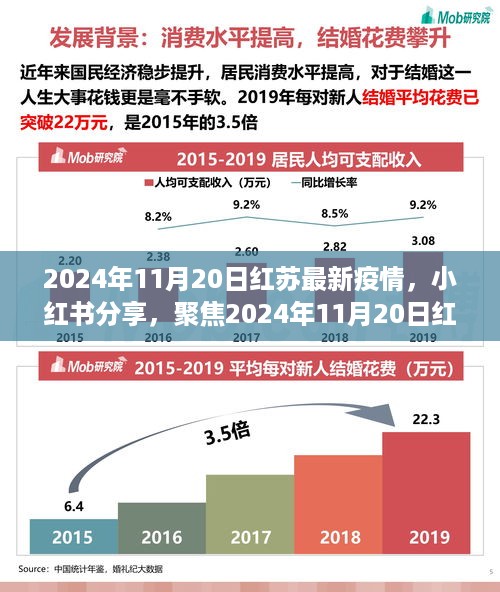 聚焦红苏疫情动态，最新疫情消息分享（2024年11月20日小红书更新）