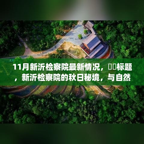 新沂检察院11月最新动态，秋日秘境之旅，与自然对话重塑心灵宁静