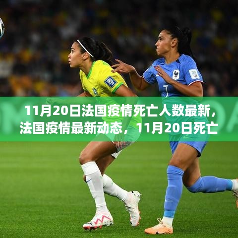 法国疫情最新动态，11月20日死亡人数更新及疫情死亡人数最新情况