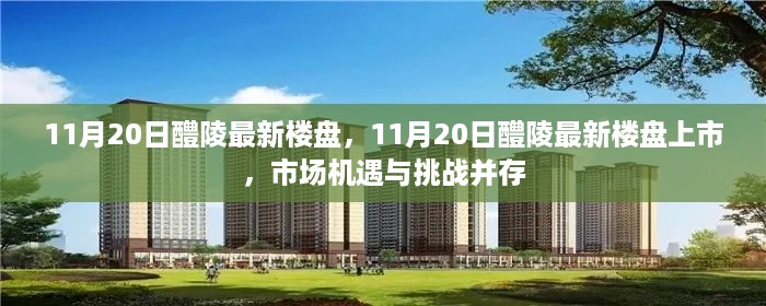 11月20日醴陵最新楼盘市场动态，机遇与挑战并存