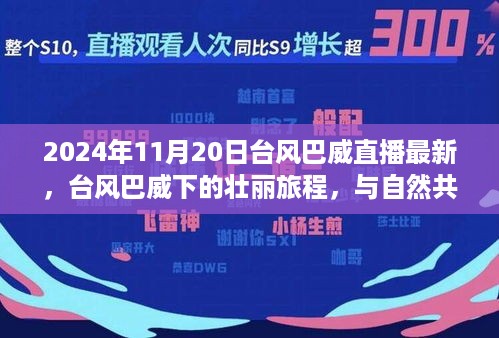 台风巴威下的壮丽旅程，与自然共舞，寻找内心的宁静（直播最新报道）