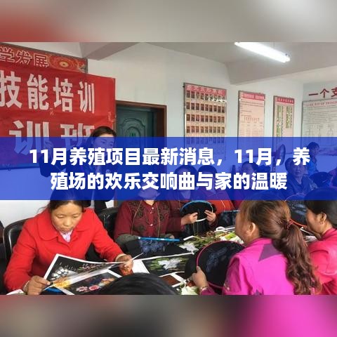 11月养殖项目最新动态，欢乐交响曲与家的温暖时光