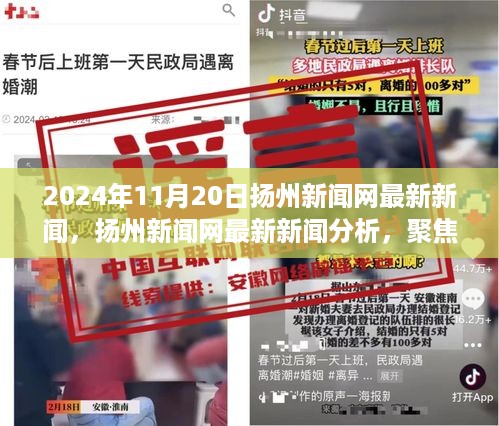 扬州新闻网聚焦观点讨论与理性思考，最新新闻及分析（2024年11月20日）