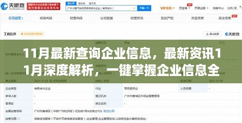最新资讯解析，一键掌握企业信息全貌深度解读报告（11月版）