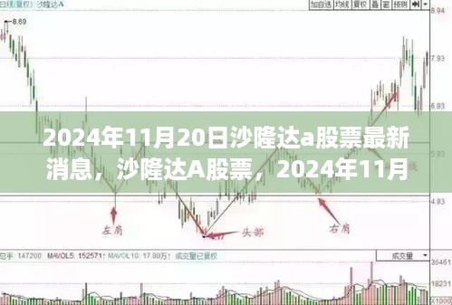 沙隆达A股票最新动态与行业地位分析，2024年11月20日报告