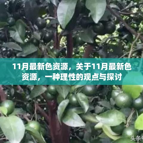 11月最新色资源，关于11月最新色资源，一种理性的观点与探讨