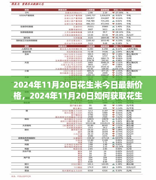 2024年11月20日花生米今日最新价格，2024年11月20日如何获取花生米最新价格——一步步教你轻松掌握