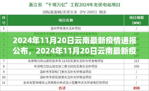 2024年11月20日云南疫情最新通报全面解析与关注热点