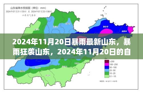 山东暴雨狂袭，自然挑战下的反思与应对，2024年11月20日最新情况