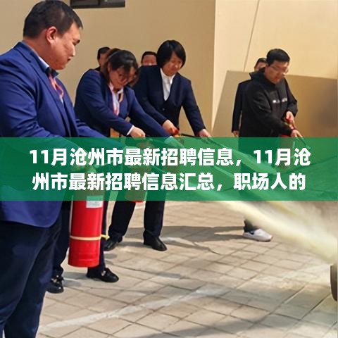 11月沧州市最新招聘信息汇总，职场人的福音，启航未来从这里开始