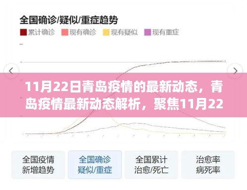 聚焦青岛疫情动态，多方观点探讨下的最新进展解析（11月22日更新）