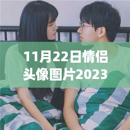 浪漫情侣头像回顾，2023年11月22日最新情侣头像图片视觉盛宴