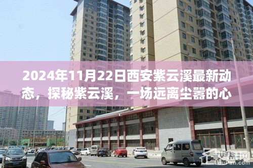 探秘紫云溪，西安紫云溪最新动态与心灵之旅体验报告（2024年11月22日）