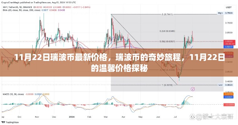 瑞波币最新价格探秘，奇妙旅程与温馨价格揭秘（11月22日）