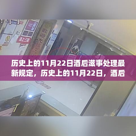 历史上的11月22日，酒后探索美景与最新滋事处理规定下的心灵宁静之旅