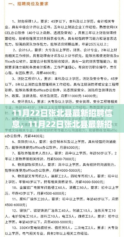 11月22日张北县最新招聘信息全解析