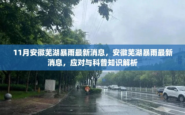 安徽芜湖暴雨最新消息及应对科普解析