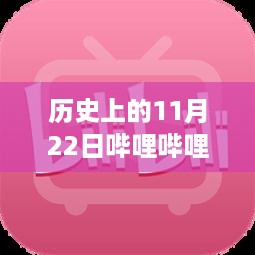 历史上的11月22日，哔哩哔哩最新版的深度评测与介绍