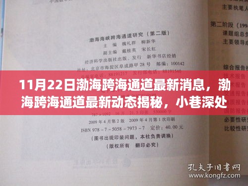 11月22日渤海跨海通道最新消息，渤海跨海通道最新动态揭秘，小巷深处的独特美食探秘之旅