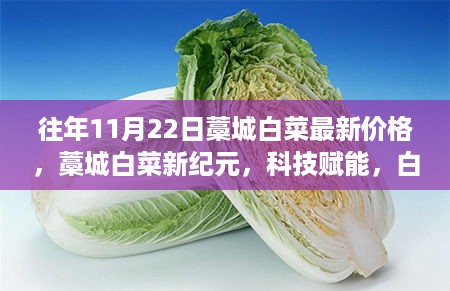 藁城白菜新纪元，科技助力白菜价格动态尽在掌握，历年价格走势解析