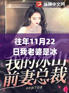 冰山女总裁的温暖魅力，免费阅读深度解析与历年回顾（往年11月22日更新）