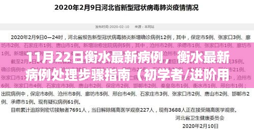 衡水最新病例处理指南，从初学者到进阶用户的步骤详解（11月22日最新）