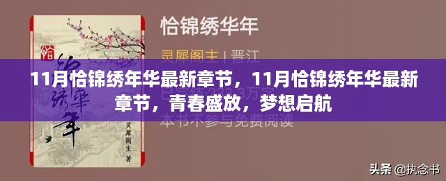 11月恰锦绣年华，青春盛放，梦想启航之最新章节