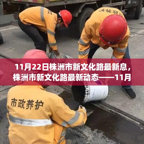 株洲市新文化路11月22日焦点动态概览