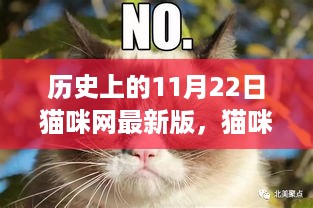 历史上的11月22日，猫咪网重大更新，揭开猫咪世界的神秘面纱