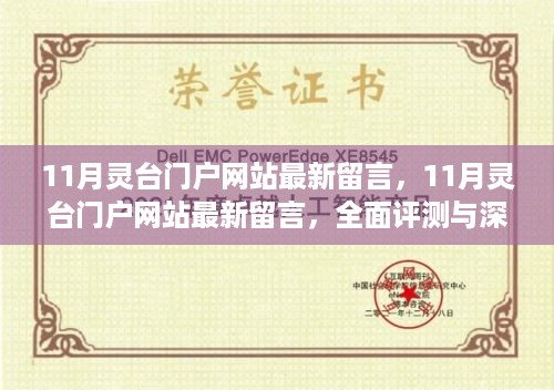 11月灵台门户网站最新留言，全面评测与深度介绍