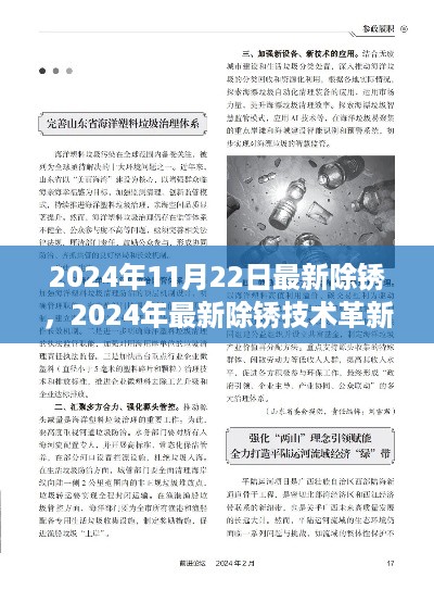 2024年最新除锈技术革新与应用展望