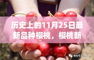 历史上的11月25日，樱桃新品种诞生之日