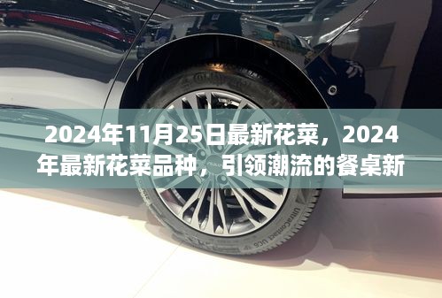 2024年11月25日最新花菜，2024年最新花菜品种，引领潮流的餐桌新宠