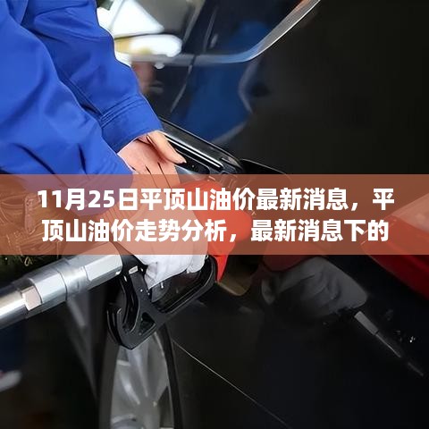 平顶山油价最新动态及走势分析，11月25日观点阐述