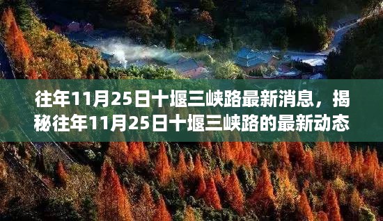 揭秘往年11月25日十堰三峡路的最新动态，小红书带你走进现场！