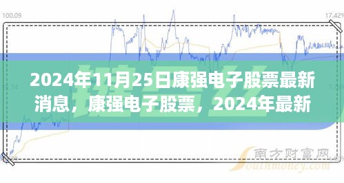 康强电子股票最新动态与行业影响深度分析，2024年展望