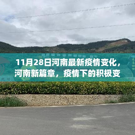 河南疫情新篇章，积极变化与学习力量在行动