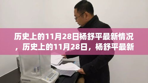 杨舒平最新情况概览，历史上的11月28日回顾与现状分析